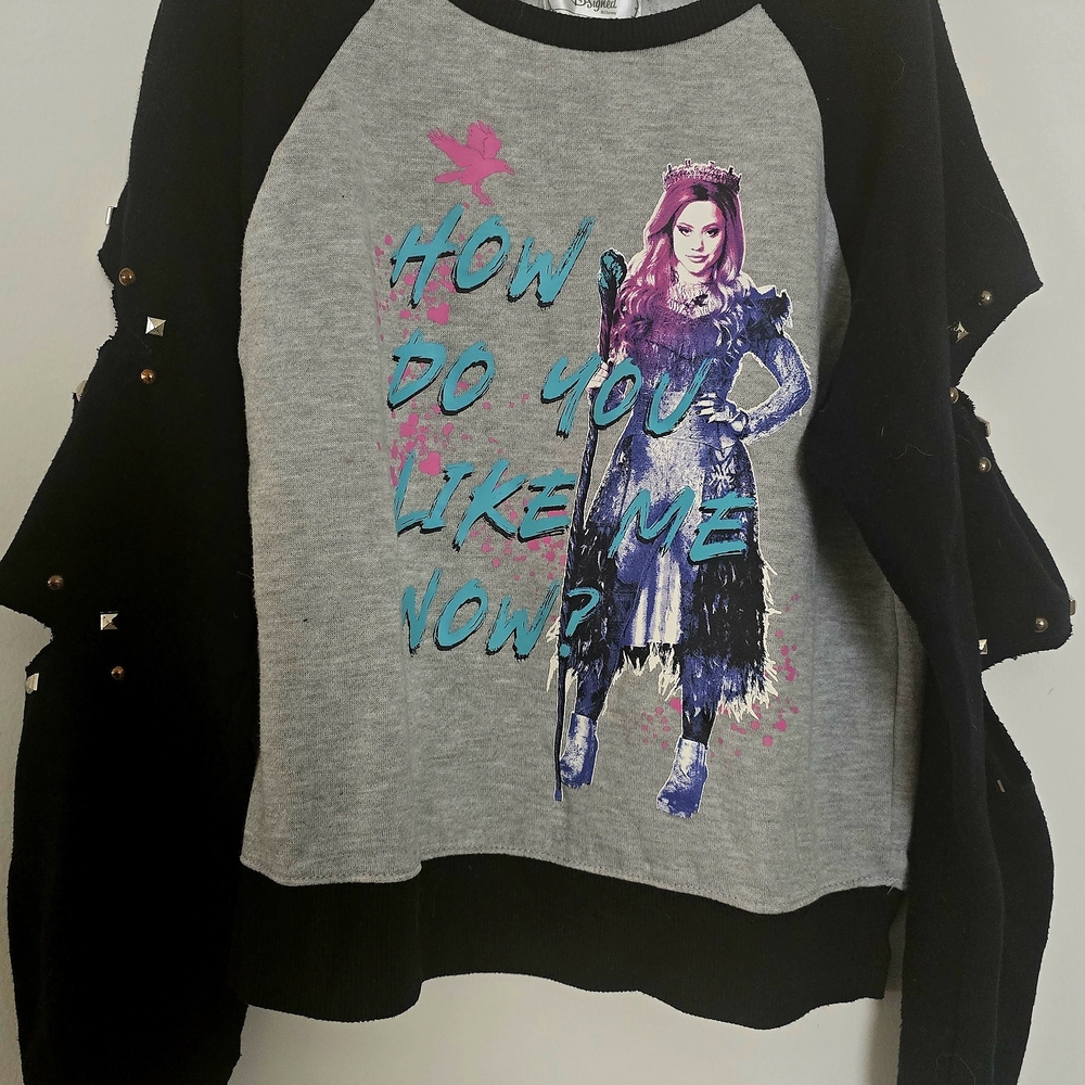 Disney Descendants Sweatshirt